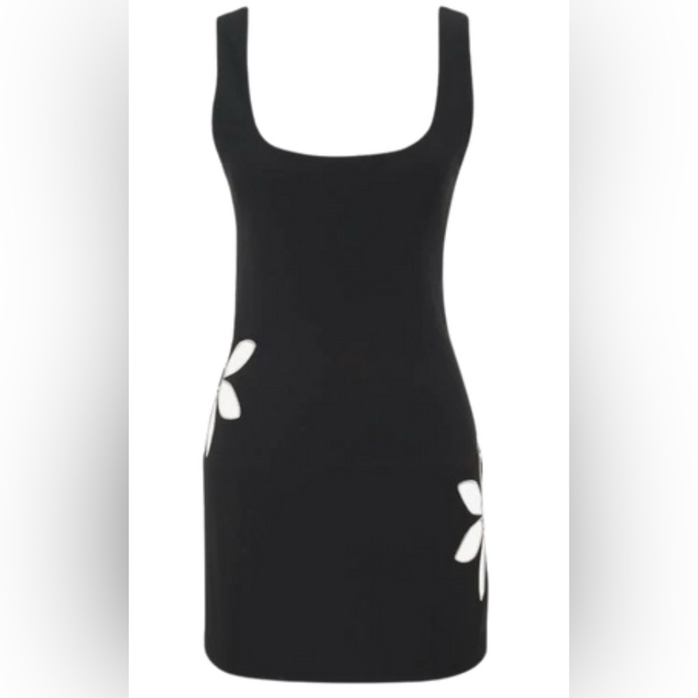 Rumored Twiggy Mini Dress Crestline NWT (large)